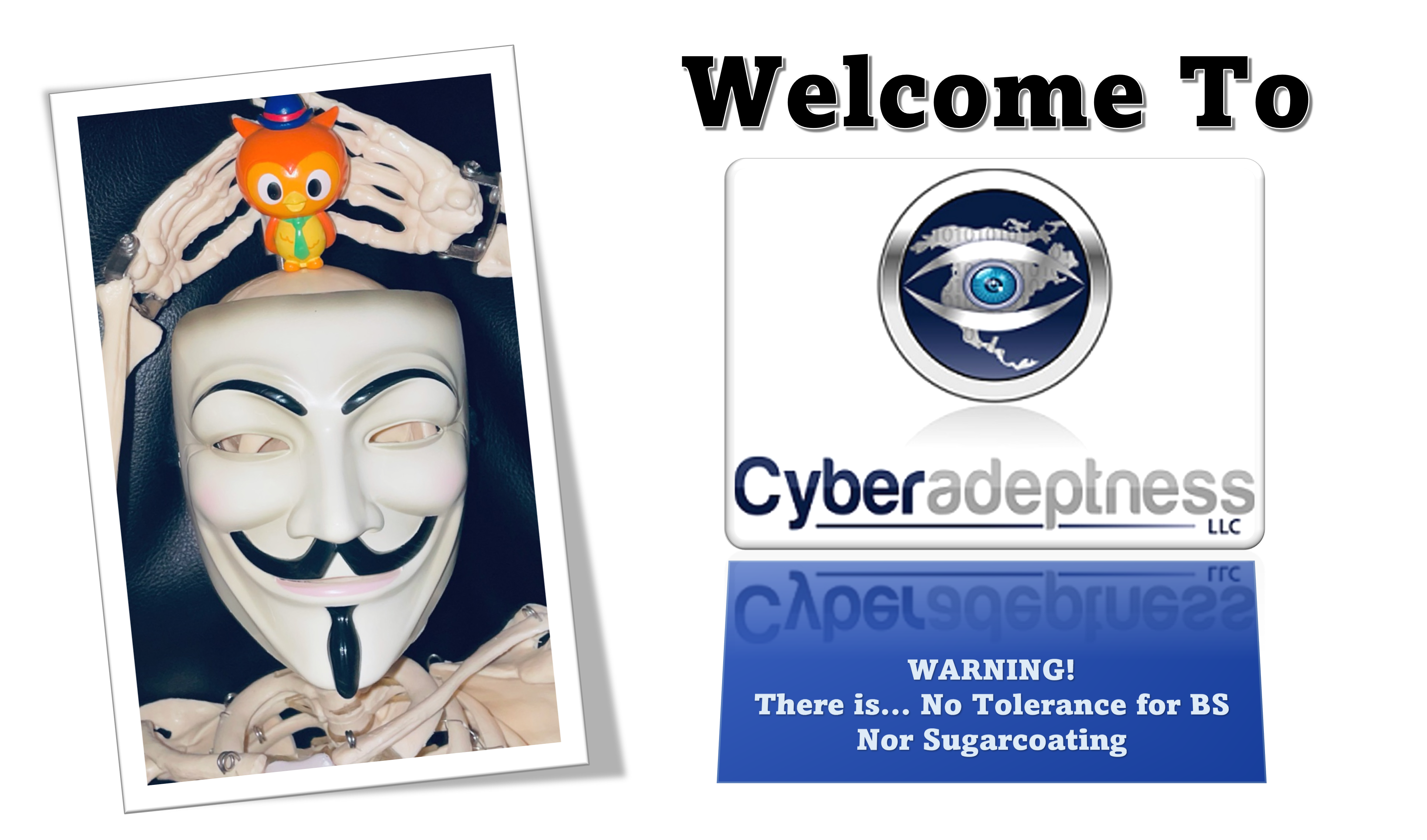 Welcome to CyberAdeptness LLC